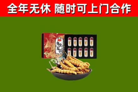 江汉区烟酒回收冬虫夏草礼盒.jpg